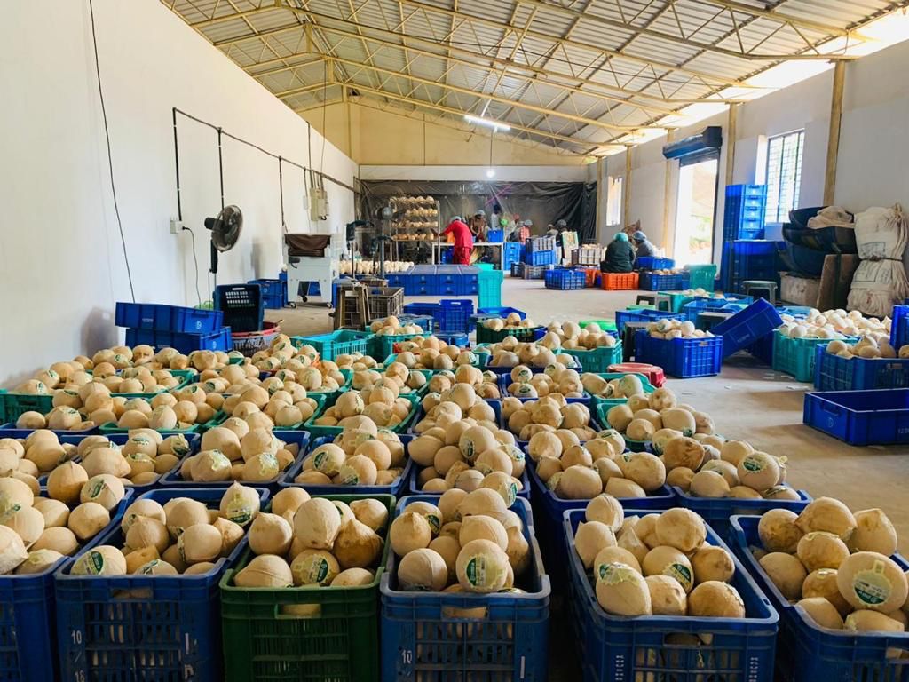 Coconut processing facility