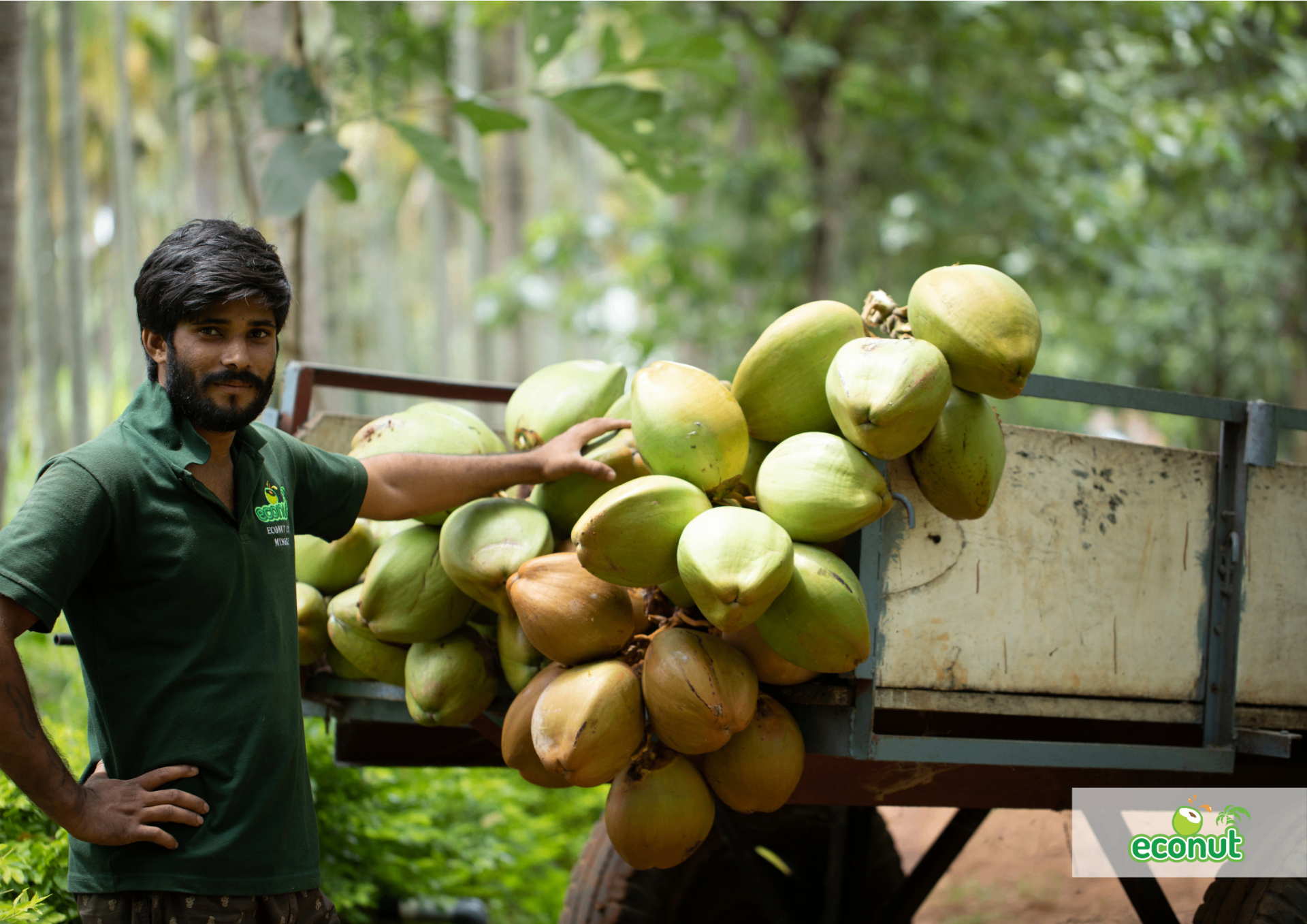 Coconut farmer